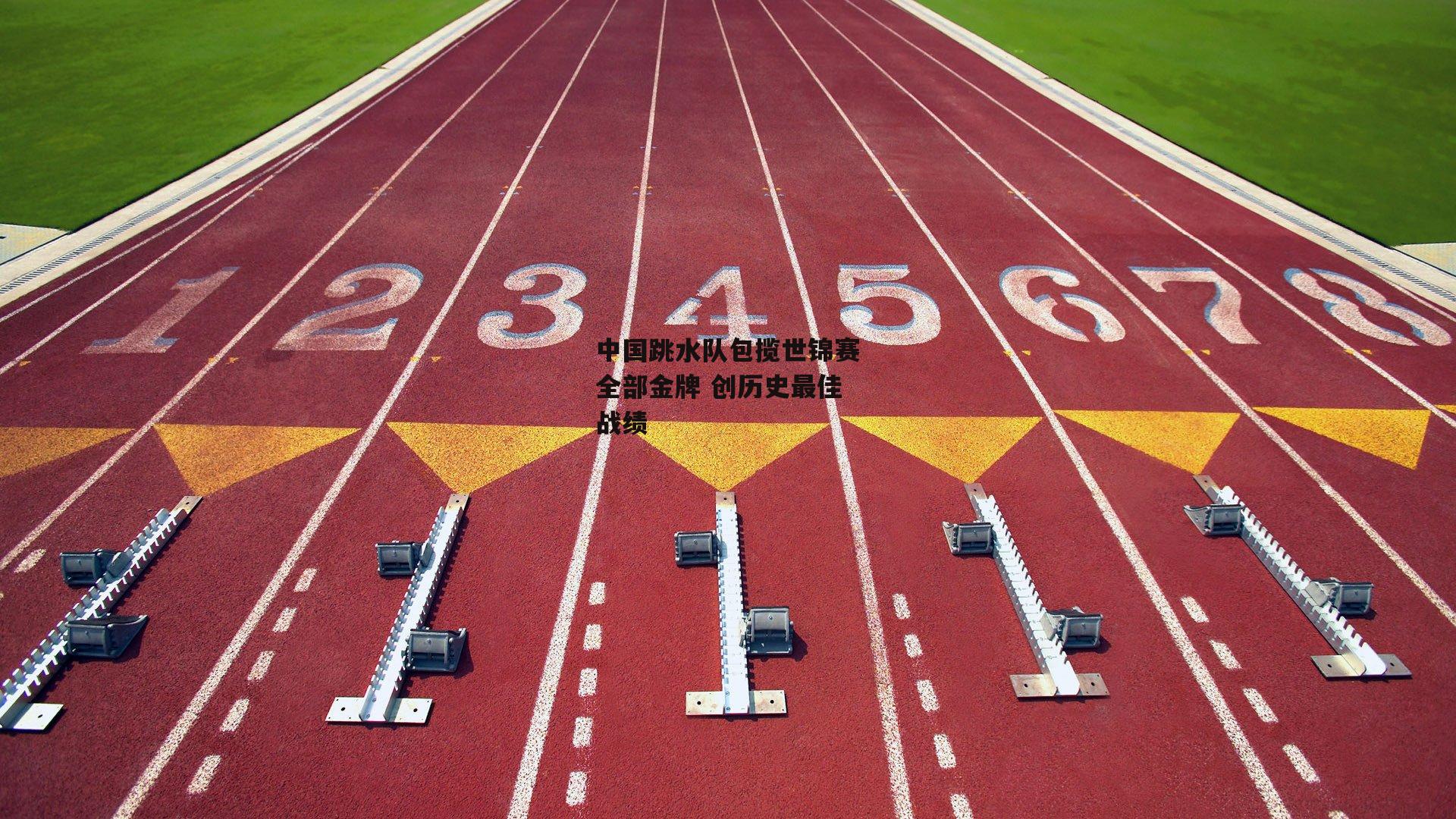 中国跳水队包揽世锦赛全部金牌 创历史最佳战绩_BSPORTS