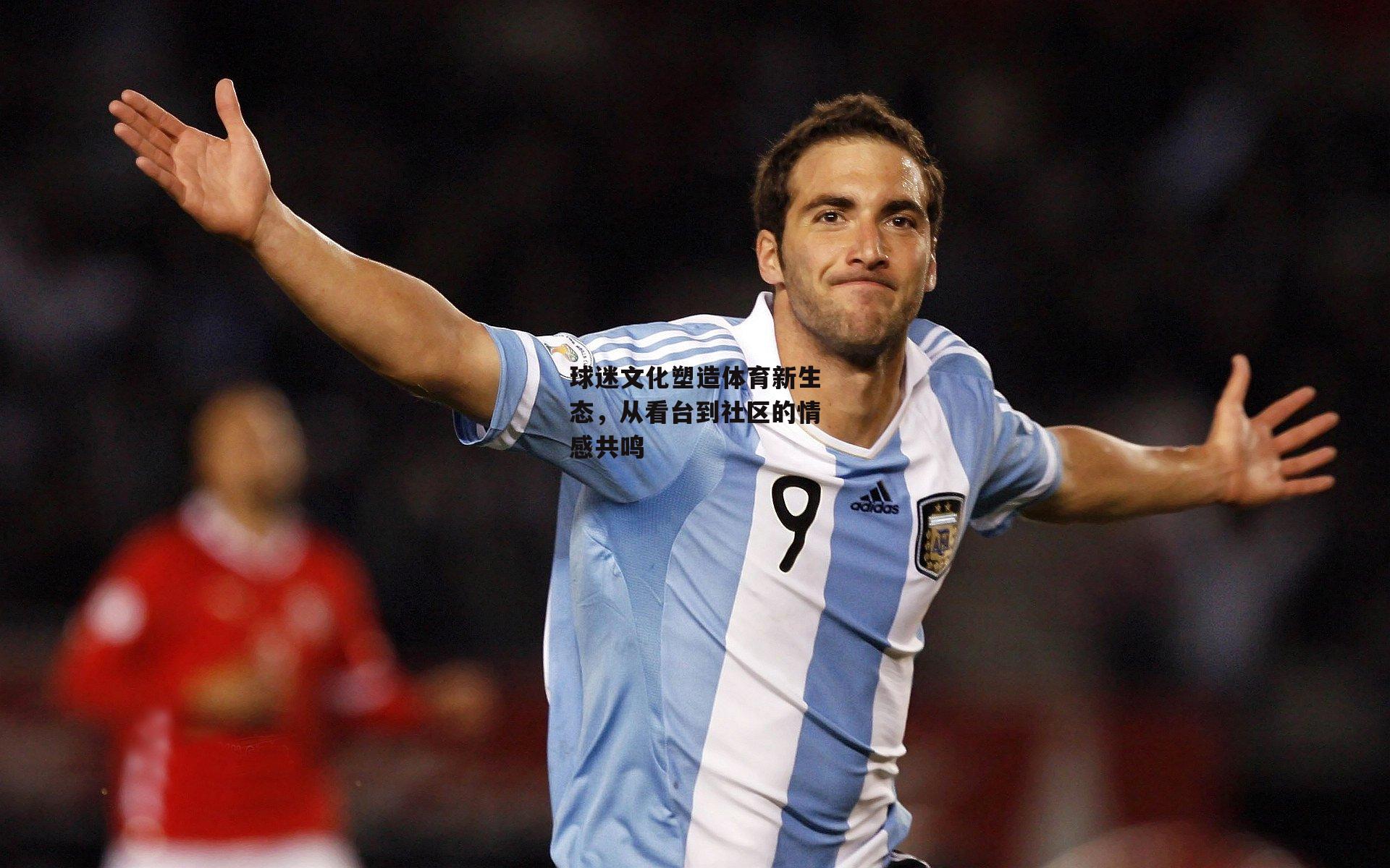 球迷文化塑造体育新生态,从看台到社区的情感共鸣