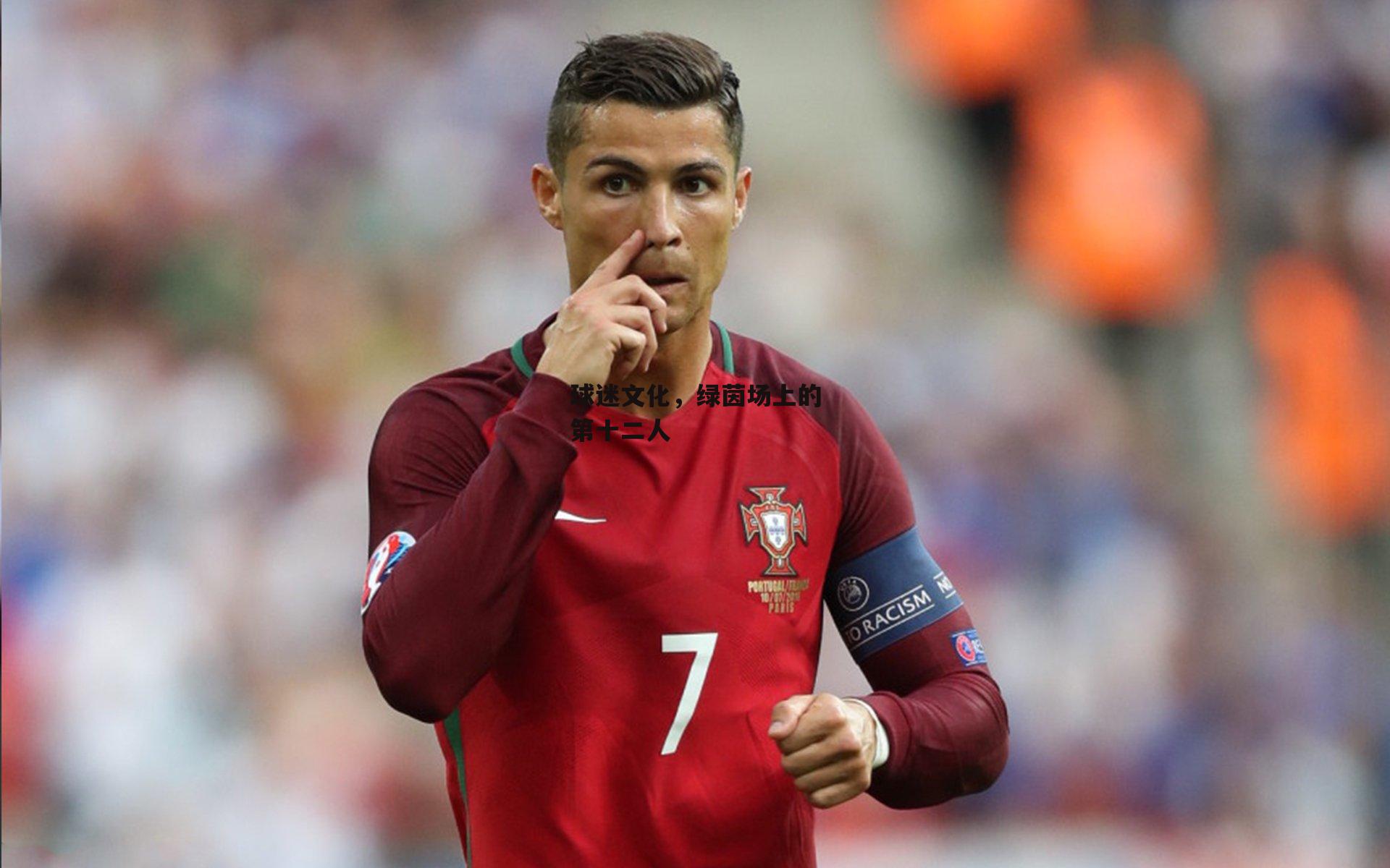 b体育app|球迷文化，绿茵场上的第十二人